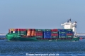 Elbfeeder (KB-D220622-01).jpg