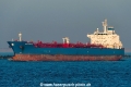 Gan-Tribute SH-270219-01.jpg