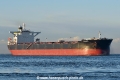 Manasota HK-141222-1.jpg