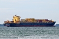 MSC New Jersey III OS-231025-11.jpg