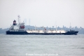 Sakura Symphony (MS-231009).jpg
