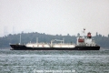 Sakura Serenity (MS-161008-02).jpg