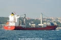 Cerinthus (LW-240915-02).jpg