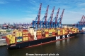MSC Mara (KB-D090724-08).jpg
