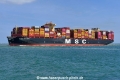 MSC Maura (OK-200825-3).jpg