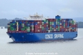 Cosco Shipping Camellia (LW-231025-01).jpg