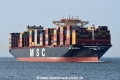 MSC Maura JG-130824-1.jpg