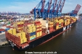 MSC Mara (KB-D090724-12).jpg