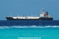Sea Bird 2 140410-01.jpg