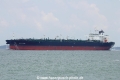 Navig8 Guide (MS-060817-11).jpg