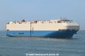 Paradise Ace OS-230623-06.jpg