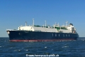 Tenergy (KK-150524-3).jpg
