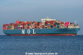 MOL Treasure SH-051018-01.jpg