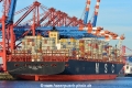 MSC New York (KB-D080315-02).jpg