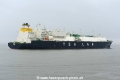 Tenergy JG-090424-3.jpg