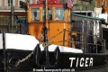 Tiger-Impression WB-20101013-01.jpg