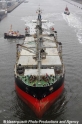 Ciclope RA-231211-08.jpg