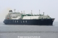 Tenergy JG-090424-1.jpg
