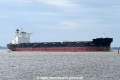 Mariperla (KK-070816-2).jpg