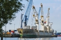 Chipolbrok Pacific 260524-14.jpg