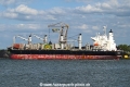 Gold Oak OS-230625-01.jpg