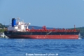Nemo (OK-220824-4).jpg