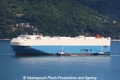 Primrose Ace RV-080213-03.jpg