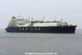 Tenergy JG-090424-2.jpg