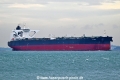 Eliza OS-221025-01.jpg