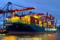 HMM St.Petersburg 251123-1.jpg