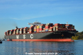 MSC New York (KB-D081119-01).jpg