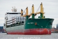 Chipol Yongan (OK-200121-0).jpg