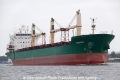 Cinnamon (OK-230213-0).jpg