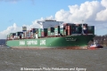 CSCL Venus (OK-190312-04).jpg