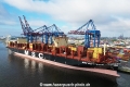 MSC Quitterie (KB-D230624-03).jpg