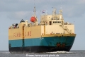 Royal Ray (MS-070407-04).jpg