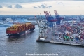 MSC Quitterie 220624-18.jpg