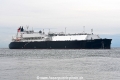 Venture Gator JG-081024-3.jpg