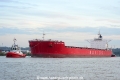 Navios Altamira (KB-D050816-01).jpg