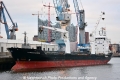 Thorco Aurora (KB-D161213-01).jpg