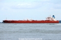 Nordic Thunder (MS-090817-05).jpg
