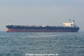 Nordic Castor JG-201017-02.jpg