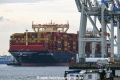 MSC Quitterie 220624-22.jpg