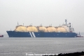 Wilgas (JS-050914-05).jpg
