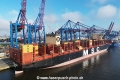 MSC Quitterie (KB-D230624-07).jpg