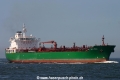 Gulf Moon (JS-020508-18).jpg