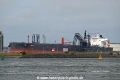 Nordtulip OS-180821-01.jpg