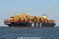 MSC Rose HK-010425-1.jpg
