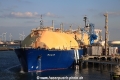 Wilgas (JS-030914-04).jpg
