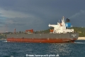 Nordpenguin (OK-011018-3).jpg